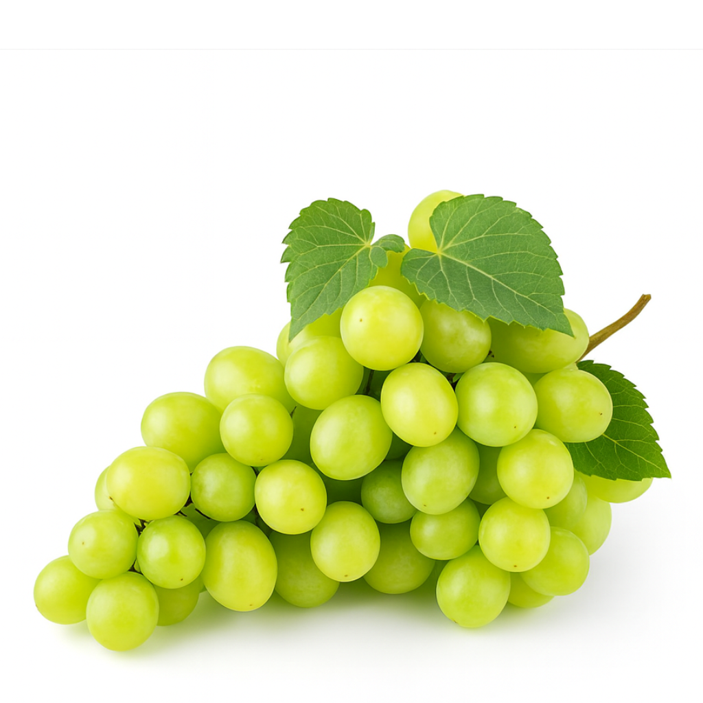 Grapevine