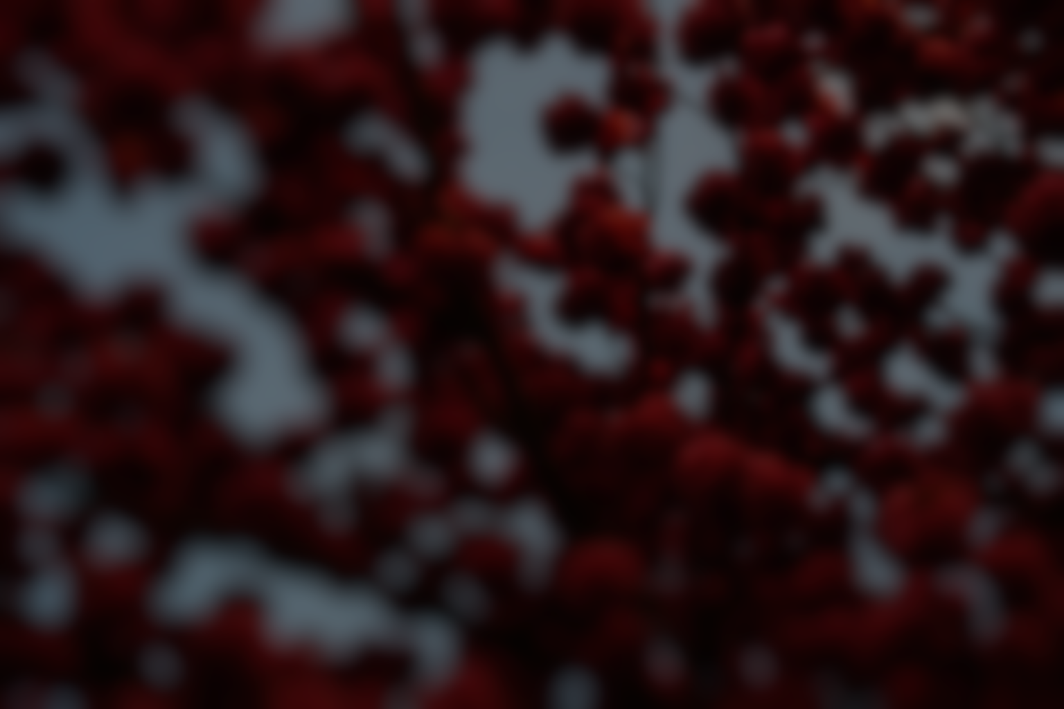 Hero background